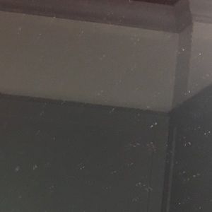 Meet your Posher, elly